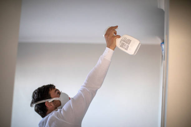Home Mold Removal in Huntington, IN
